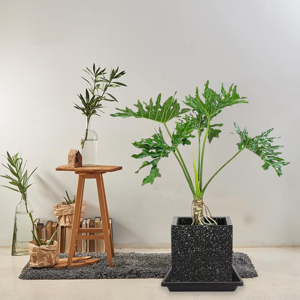 14 Inch 2 Pack Square Plant Saucer, Durable Plastic Plant Trays for Pots-Indoor Outdoor, Durable and Thicker Large Plant Drip Trays, 6 8 10 12 13 16 18 20 Flower Planter Saucers for Potted Plants