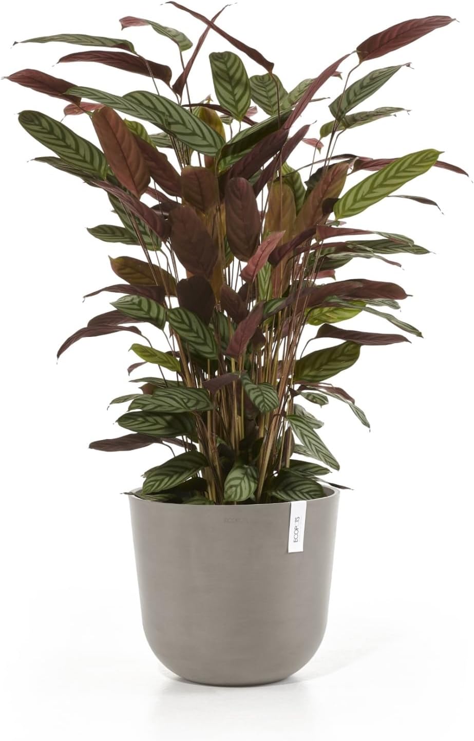 Ecopots Oslo Durable Modern Round Indoor/Outdoor Recycled-Based Composite Flower Pot Planter, Taupe, 14"