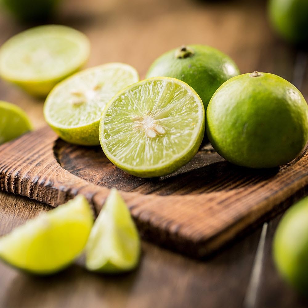 Brighter Blooms - Key Lime Tree, 1-2 ft. - No Shipping to AL, AZ, CA, FL, GA, LA, MS, OR, TX