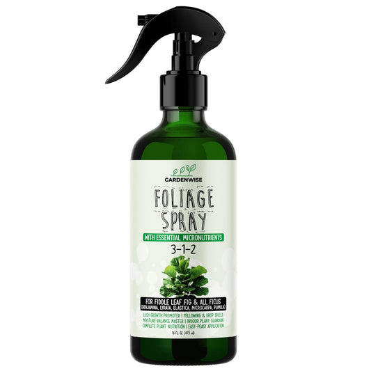 3-1-2 Fiddle Leaf Fig Foliar Spray - Plant Shine & Fertilizer - Premium Spray for Indoor Plants with Essential Nutrients - Fiddle Leaf Fig Plant Food & Fertilizer - Ready-to-Use (8 OZ)