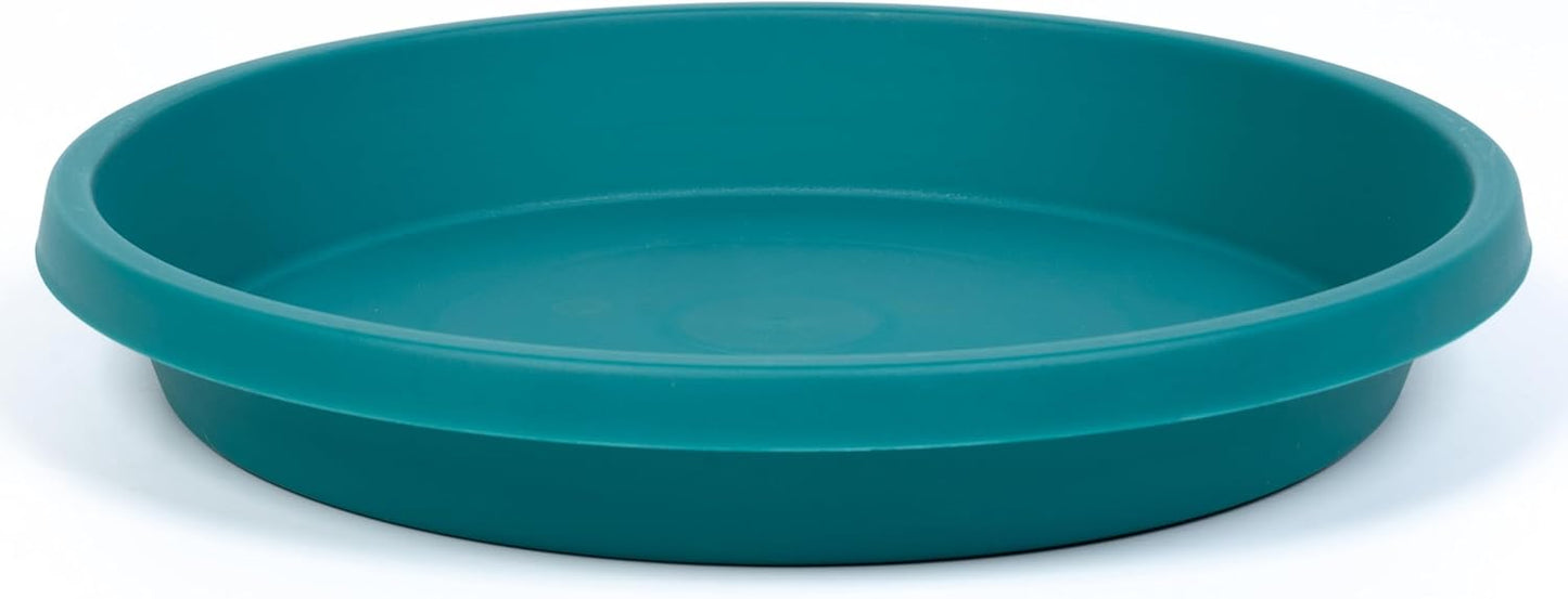 Plant Saucer 6inch 5 Pack