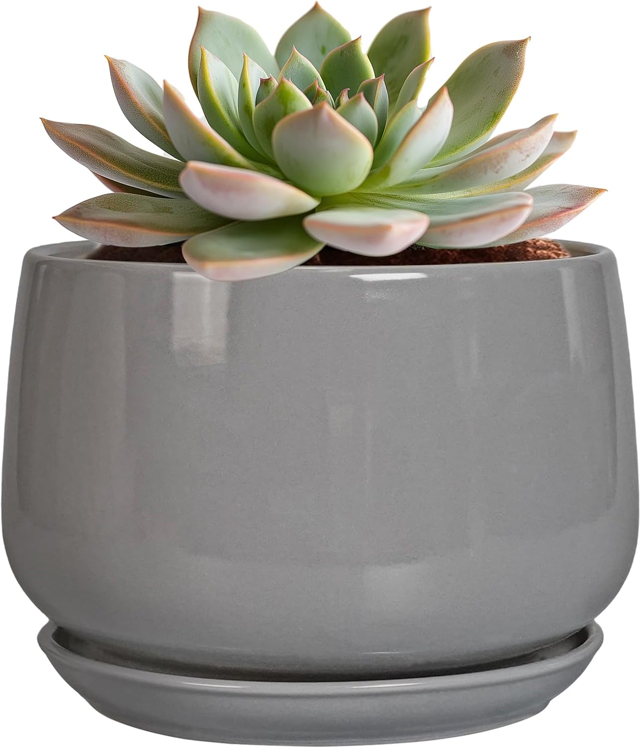 G EPGardening Ceramic Pot for Plants - Modern 6 Inch Round Planter Indoor with Drainage and Tray for Indoor Outdoor Flower, Patio Decor, Teacher Gifts, Grey