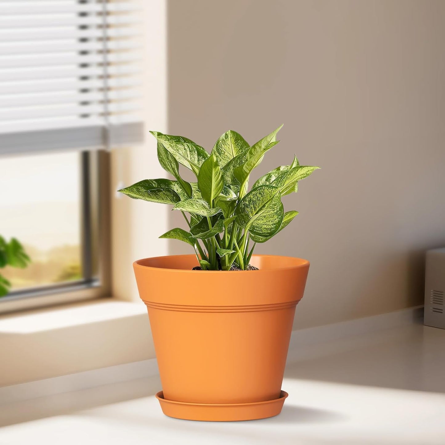 6 Inch Thick Plastic Plant Pots with Drainage Holes and Trays – 6 Pack Nursery Pots for Indoor & Outdoor House Plants, Seedling Starter Planters for Garden Flowers, Terracotta