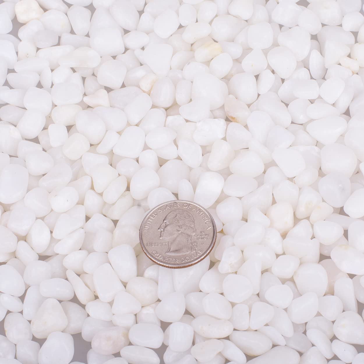HOT SEAL 3.0 LB White Polished Pebbles 3/8", Natural Decorative Smooth River Rocks, Gravel Size White Small Pebble Stone for Succulent, Bonsai, Potted Plants, Landscaping, Fairy Garden, Aquarium
