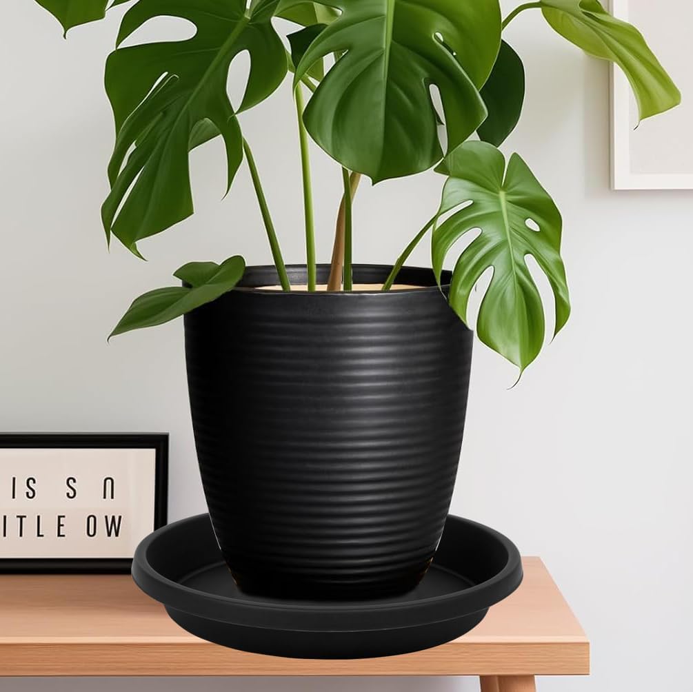 5 Pack Plant Saucer 8 Inch, Flower Pot Saucers Plant Trays for Pots, Plant Plates to Catch Water Indoor Plants, Plastic Planter Tray for Indoors, Planting Trays