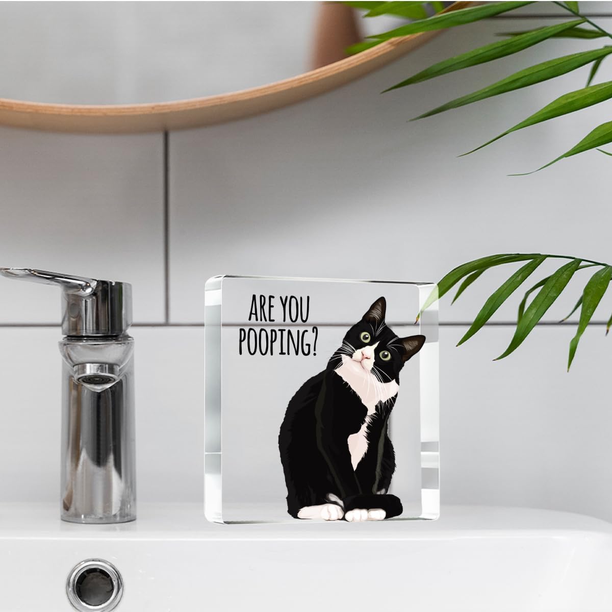 Are You Pooping Funny Sign，Black Cat Decor, Cat Bathroom Acrylic Decor，Home Decor Bathroom Creative Gift For Women Men，Funny Decorate Retro for Home Toilet