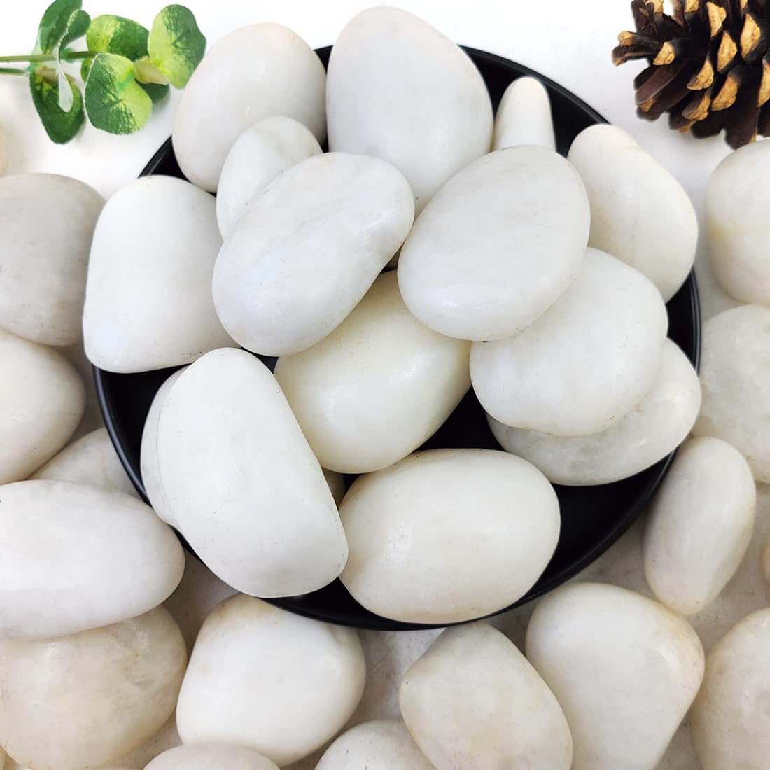 5lbs White River Rocks, 2-3 Inch Natural Pebbles for Indoor Plants, High Polished Decorative Stones Vase Filler Fish Tank Aquariums Landscaping Garden Outdoor and Indoor DIY