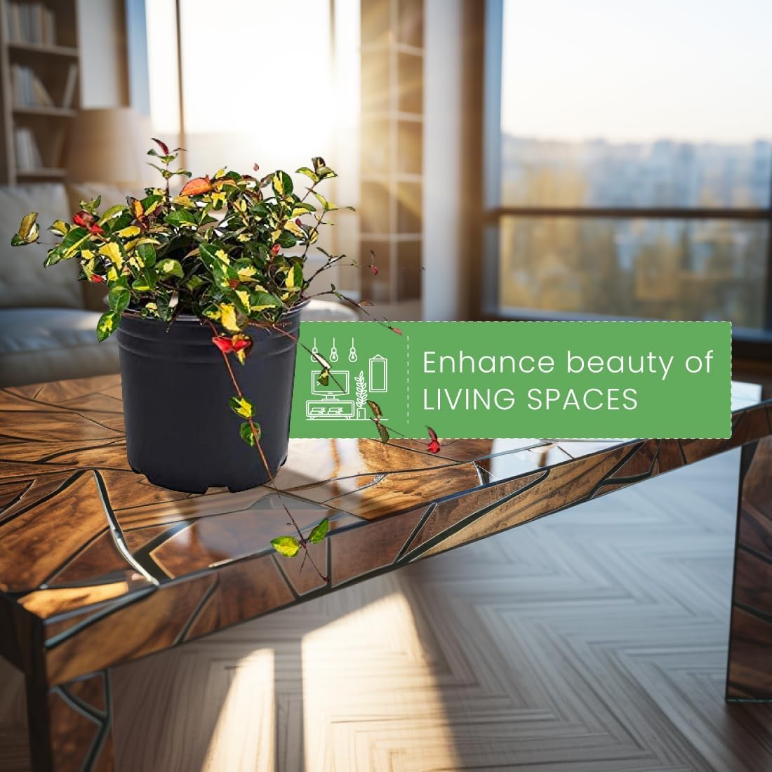 American Plant Exchange Summer Sunset Jasmine – 6-Inch with Pot – Live Fragrant Flowering Vine, Easy Care Plant for Home, Garden, Patio, or Balcony Decor