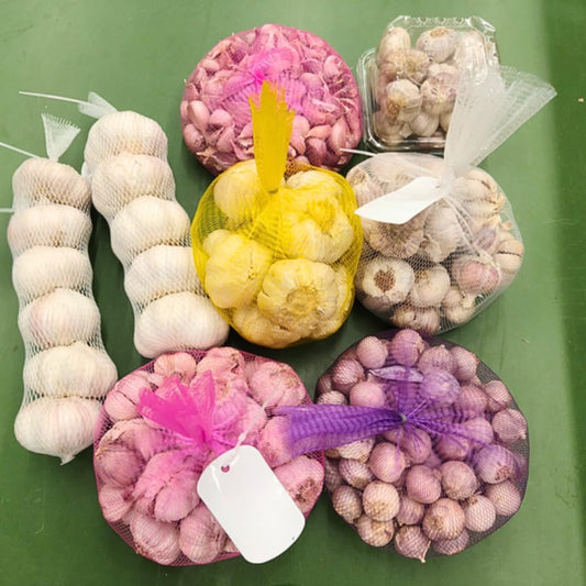 1 Pound Garlic for Planting in Fall Mix Random Softneck Hardneck, 8 Assorted Garlic Bulbs for Planting, Fresh and High Yield Bulb Variety Pack, Hardy and Fast Growing