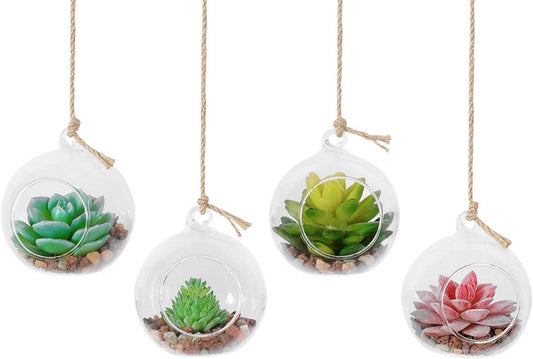 TQVAI 4 Pack Hanging Glass Globe Air Planter Terrarium Vase with 39 inch Sling (Not Included The Plants)