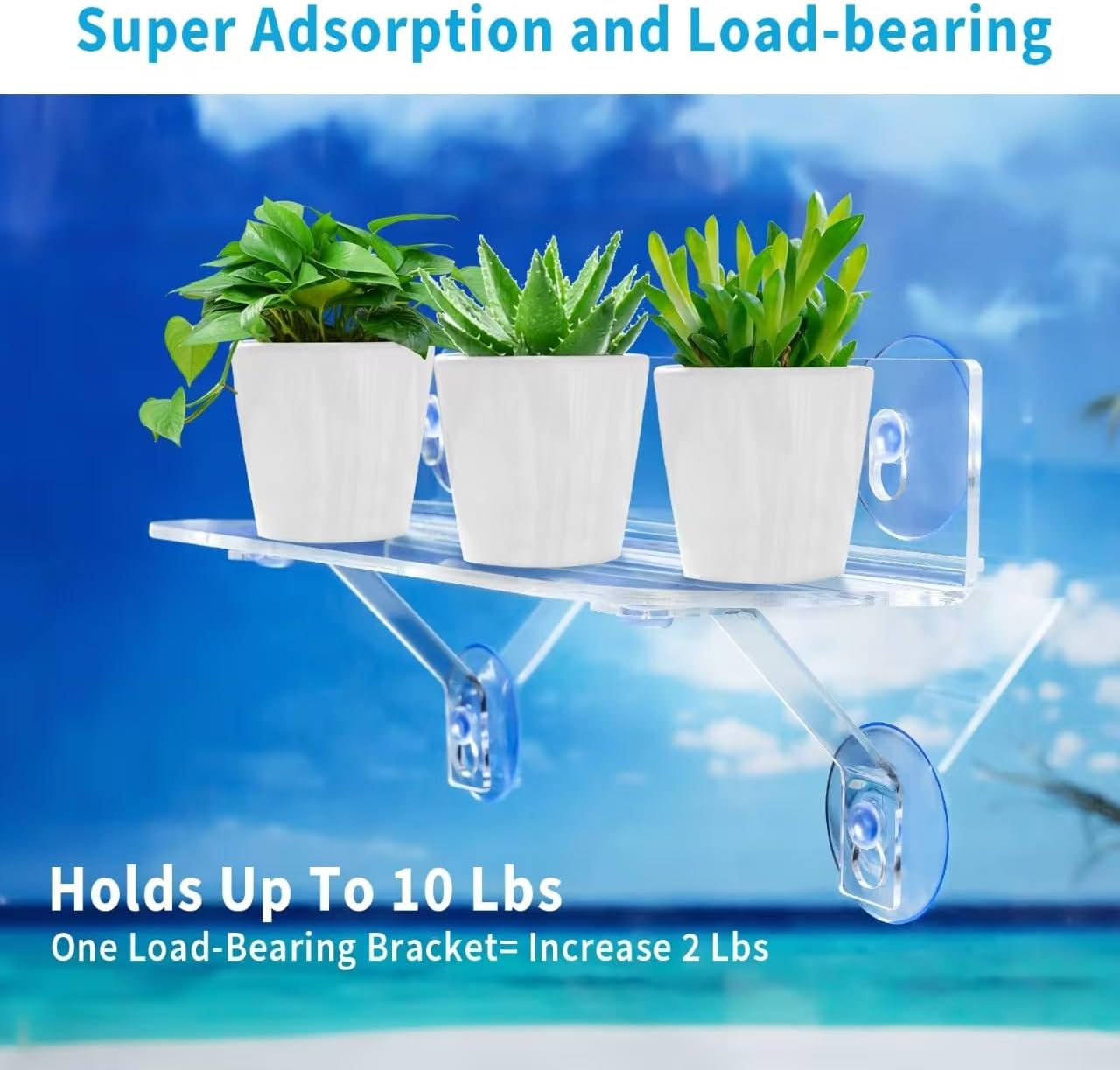 12-Inch Window Boxes Sill Planter Suction Cup Holder, 5-Inch Extra Wide Window Sill Extender, with Load Bearing Bracket for Herbs, Succulents, Clear Acrylic Indoor Plant Stand