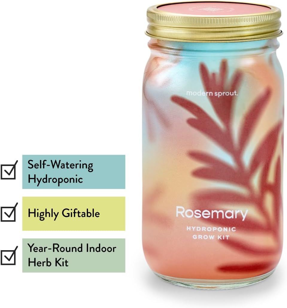Modern Sprout Mason Garden Jar - Self-Watering Hydroponics Growing System Kit with Organic Herb Seeds - Jar Planter for Indoor Herb Garden - Seed Starter Kit - Home Decor & Gifting - Basil+Rosemary
