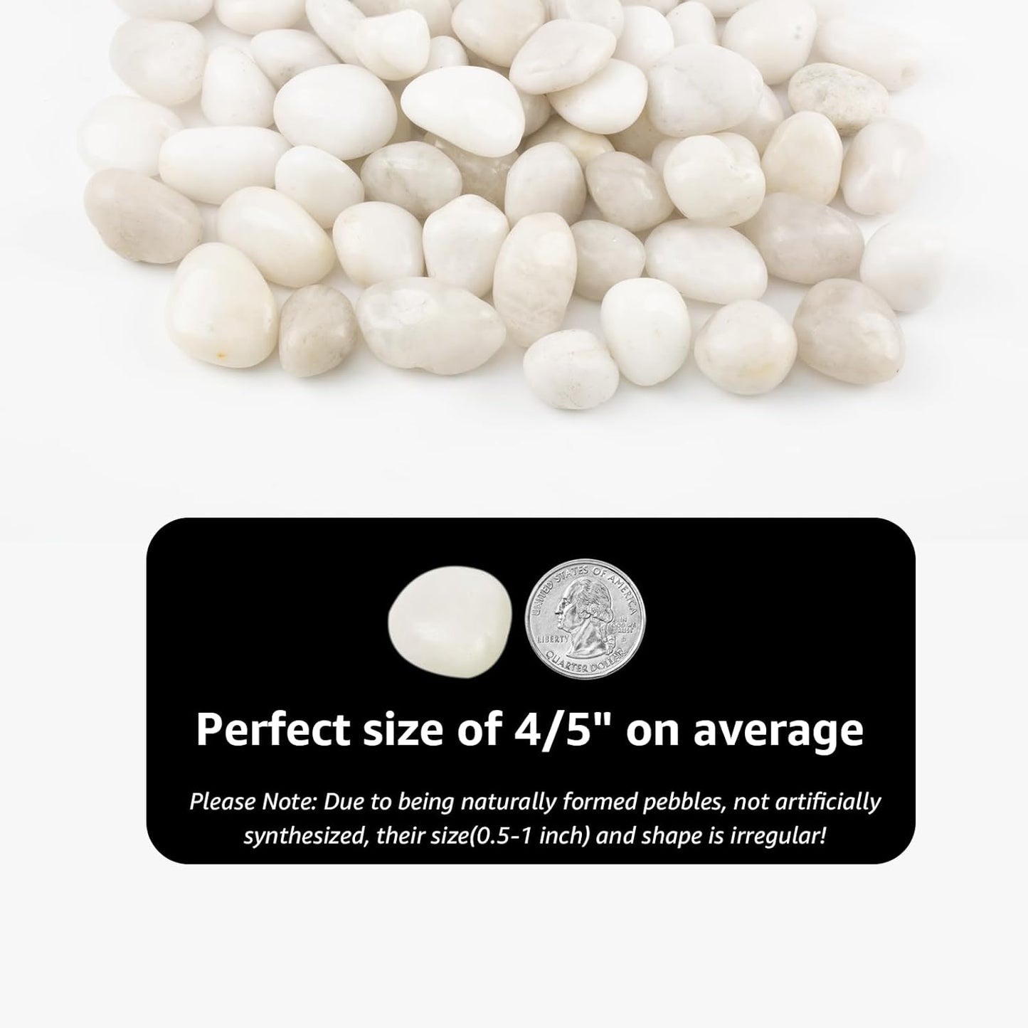 River Rocks - Natural Polished White Pebbles, 0.5-1 inch, 10 Lbs - Ideal for Indoor Planting, Vase Filling, Aquarium Decoration, and Garden Landscaping (White, Weight: 10 LB)