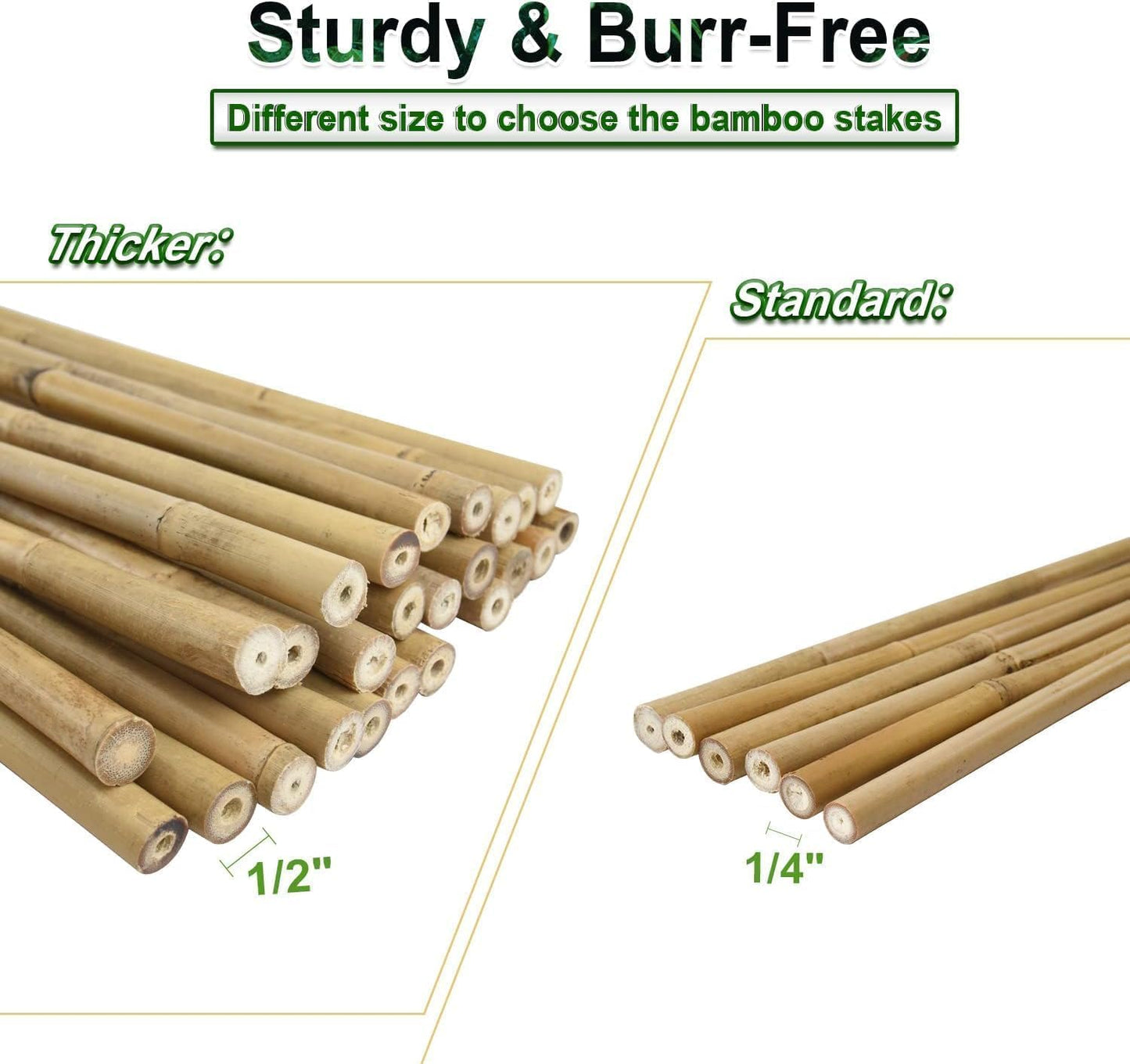 1/2" D 4.75 Feet Bamboo Stakes 50 Pack, Thicker Heavy-Duty Plant Stakes, Natural Garden Stakes for Bean, Tomato, Bean, Flowers,Trees Potted and Climbing Plant Support