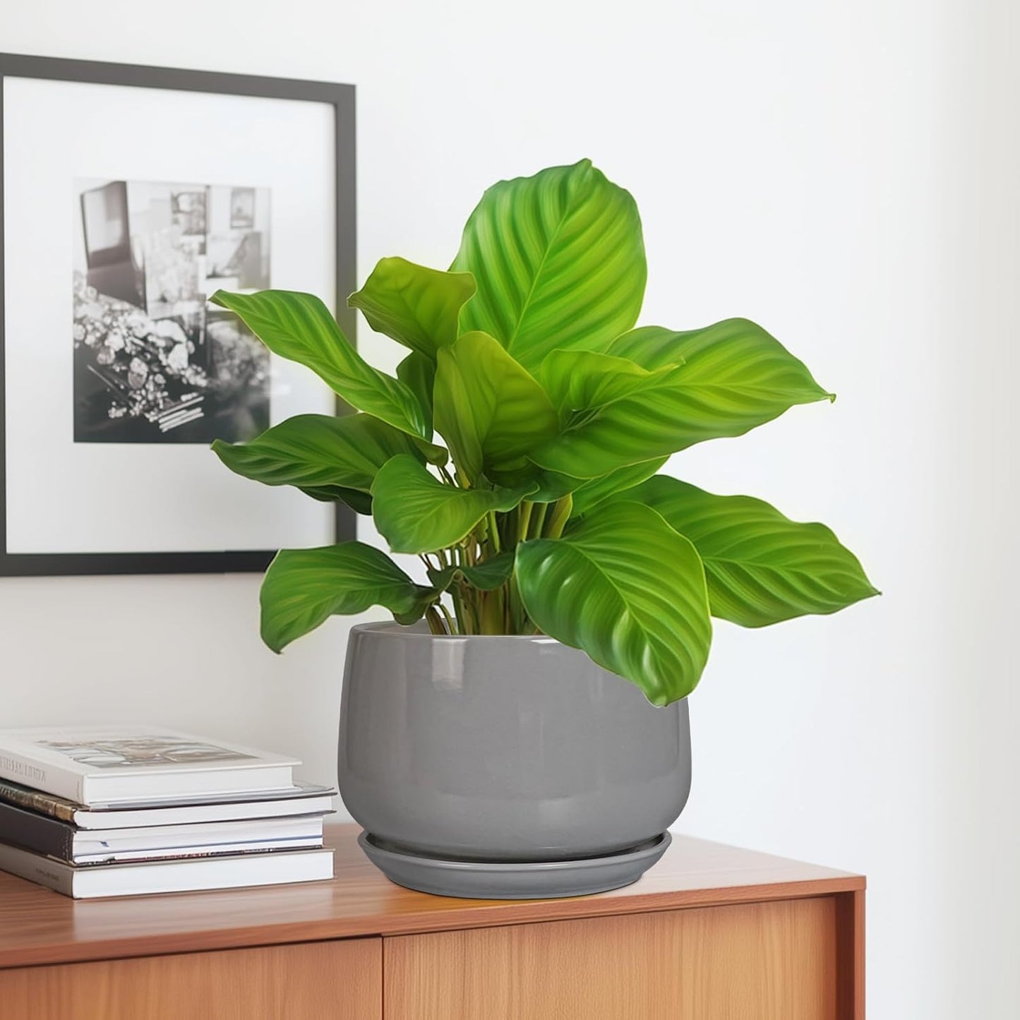 G EPGardening Modern Ceramic Planter - 7 Inch Round Modern Plant Pot Indoor with Drainage and Ceramic Tray Indoor Outdoor for Flower, Vanity Decor, Birthday Gifts, Grey