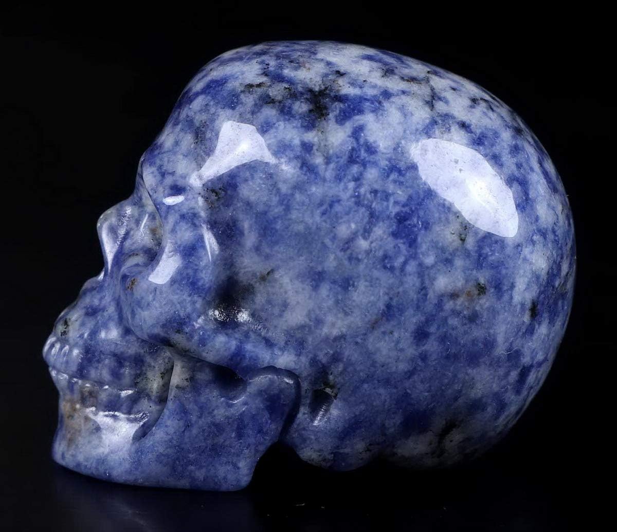 Skullis 2.0" Blue Speckled Sodalite Crystal Skull, Hand Carved Gemstone Fine Art Sculpture, Reiki Healing Stone Statue.