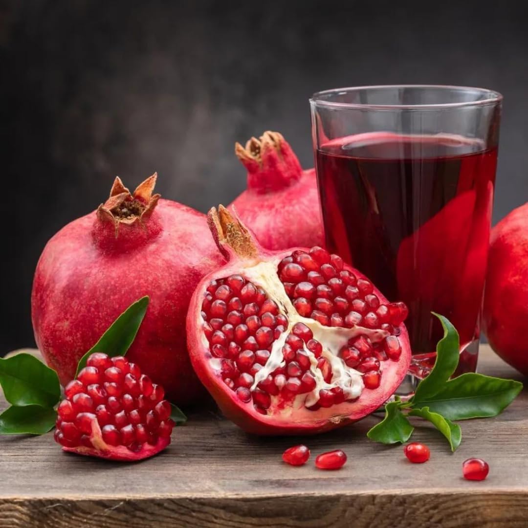 Pack 2 Potted Wonderful Pomegranate Tree Live Plant - Hardy Red Pomegranate Bush - for Gardens and Pots- Full Roots and Easy to Plant, Size 10 to 15 Inch Tall