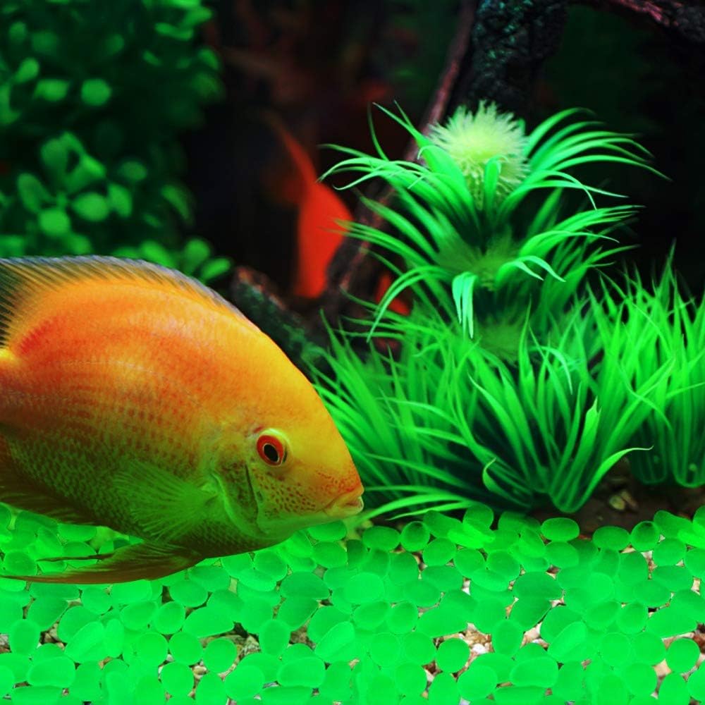 Oubest Glow in The Dark Rocks Glow Pebbles Decor for Garden/Fish Tank/Aquarium/Walkway/Driveway/Plant Pots/Bonsai (100, Green)