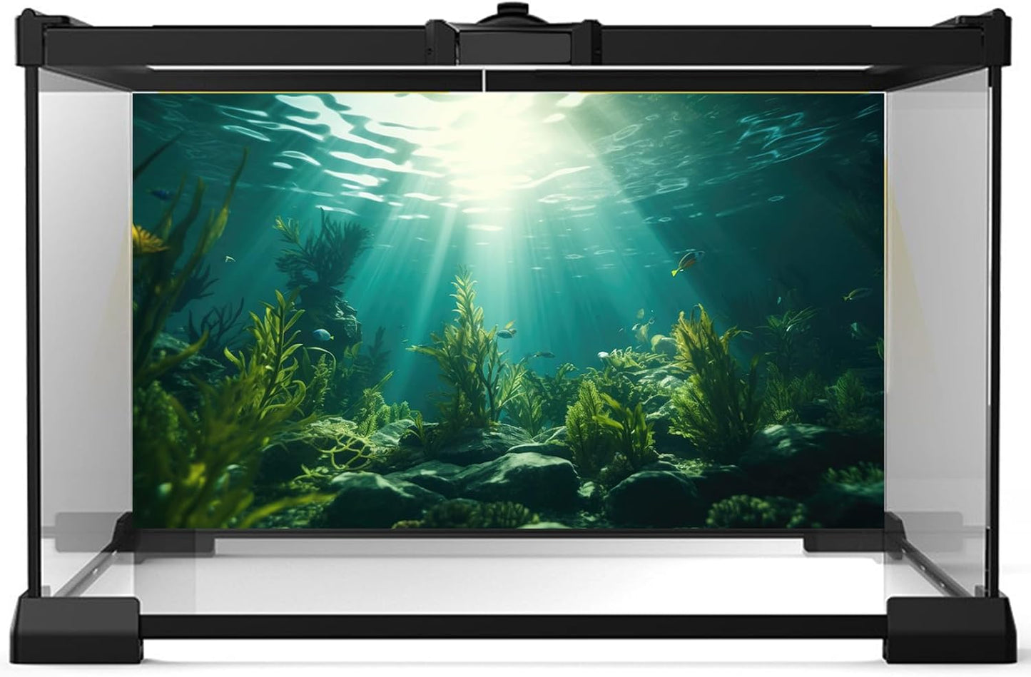 Ocean Aquarium Background Aquatic Plants with Rocks Terrarium Backdrop Sunlight Rays Deep Sea Fish Tank Background Aquarium Wallpaper Poster Decor Vinyl 24x16in