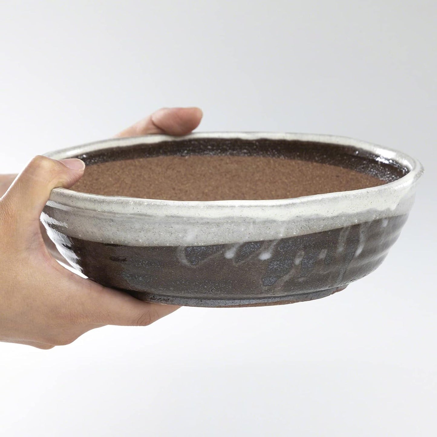 Wazakura Shigaraki Series Handmade White Stripe Glazed Ceramic Bonsai Pot with Drainage Hole, 8.2 (210 mm) Made in Japan, Garden Training Container, Flower Planter, Succulent Bowl - Big Size