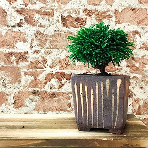 Wazakura Tokoname Series Small Handmade Striped Square Bonsai Pot with Drainage Hole 4.1in (105mm) Made in Japan, Ceramic Training Starter Container, Decorative Flower Planter - Brown