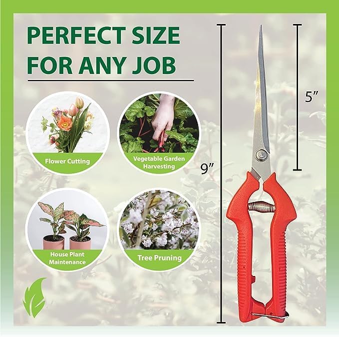 GARDEN GURU Extra Long Stainless Steel Pruner Pruning Shears Clippers Snips – Sharp Bonsai Cutter Plant Trimming Scissors – Straight Blade Garden Scissors Tool – Great for Roses Flowers Herbs Fruits