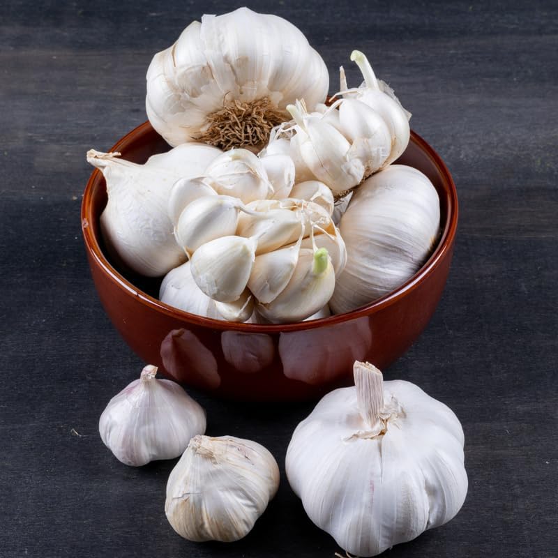 1 Pound Garlic for Planting in Fall Softneck, 8Carlifornia Solfneck Garlic Bulbs for Planting, Fresh and High Yield Bulb Variety Pack, Hardy and Fast Growing