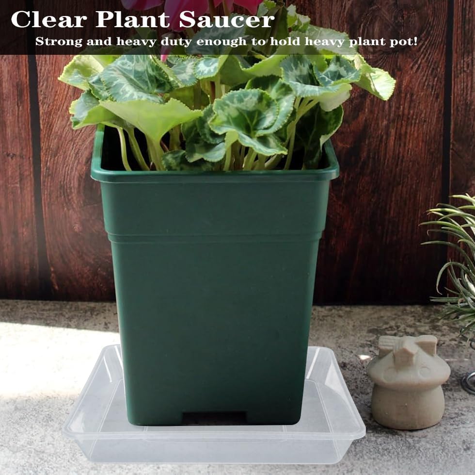 Square Plant Saucer 6 Inch 5 Pack, Strong Clear Plastic Flower Plant Pot Saucer, Square Planters for Indoors and Outdoors Plants, Garden Plant Saucers for Pots Plant Trays.
