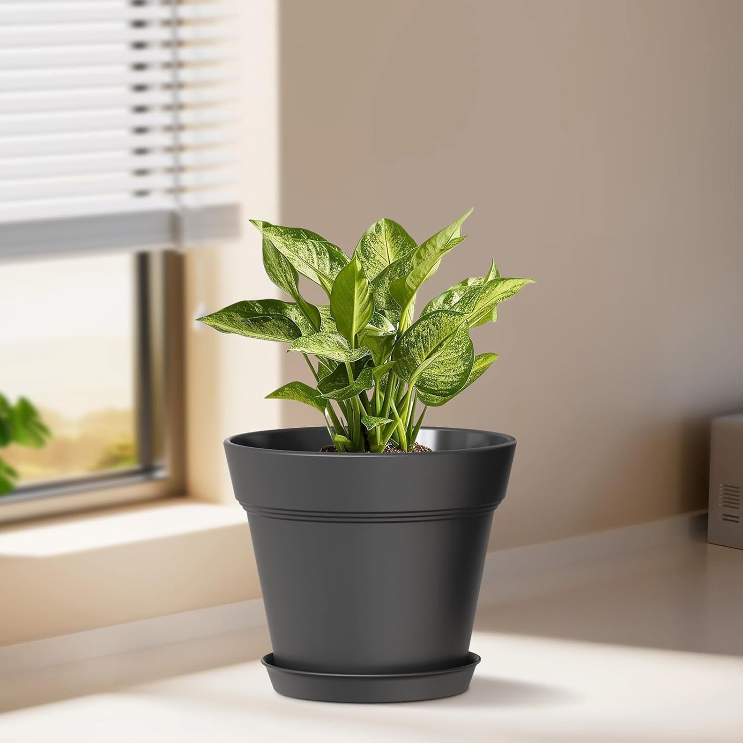 4 Inch Plastic Plant Pots with Drainage Holes and Trays – 8 Pack Small Nursery Pots for Indoor & Outdoor House Plants and Flowers, Seedling Starter Planters, Matte Black