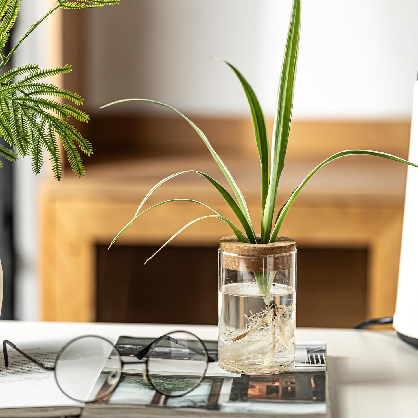 Glass Plant Propagation Stations for Plants – Set of 4(4 Large & 4 Small) Hydroponic Vases for Plant Cuttings,Flower Arrangements, Home & Office Decor–Desktop Vases for Living Room, Bedroom (8)