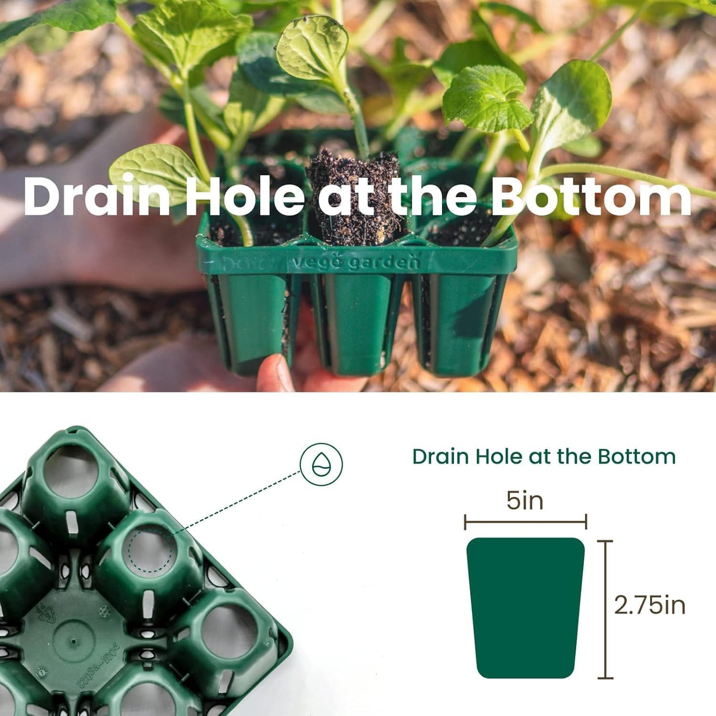 Vego garden Seedling Suite Products, 4 Pack Standard Seedling Trays with Seedling Tray Lids and 10" x 10" Bottom Watering Trays