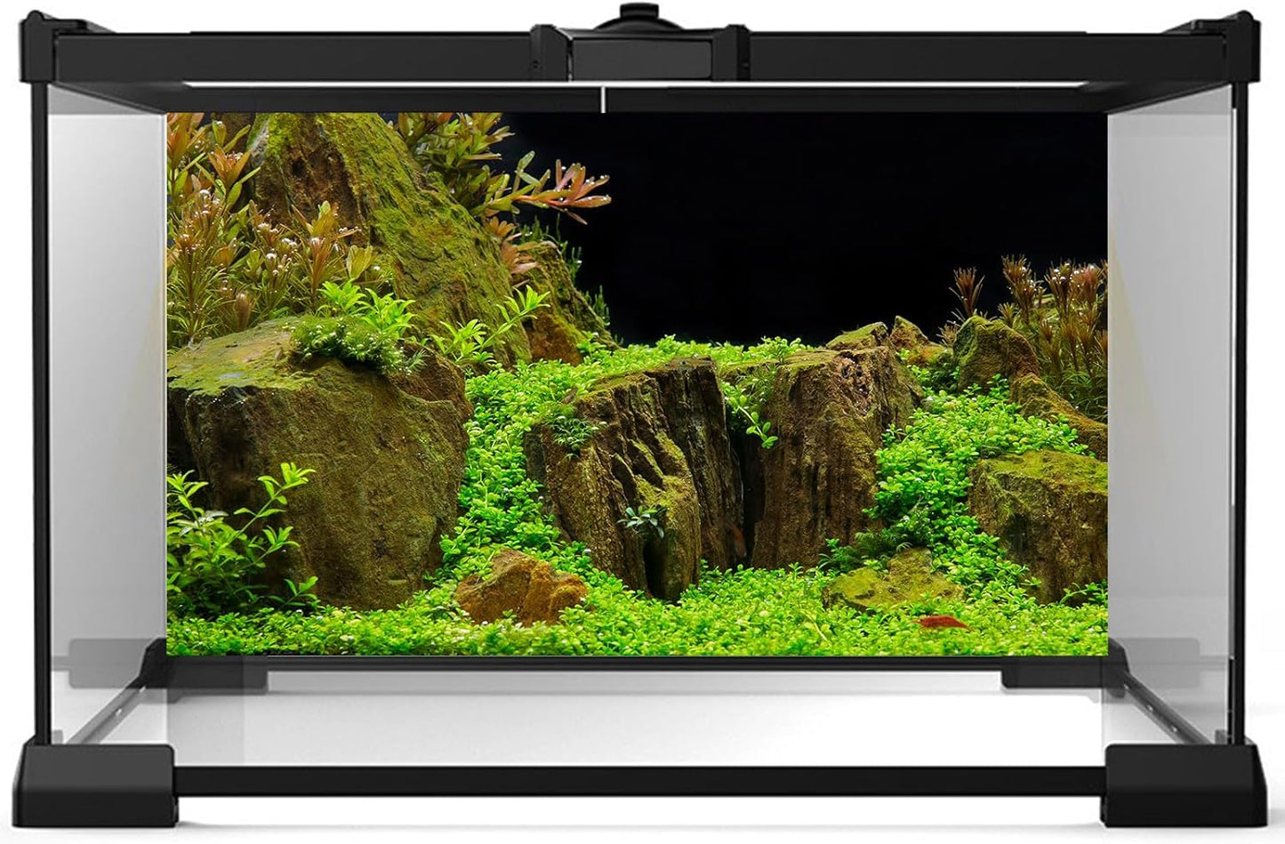 Aquarium Background Exquisite Underwater Grass with Moss Fish Tank Background Underwater Stone Terrarium Background Durable Vivid Leaves Under Water Tank Background 30x12in