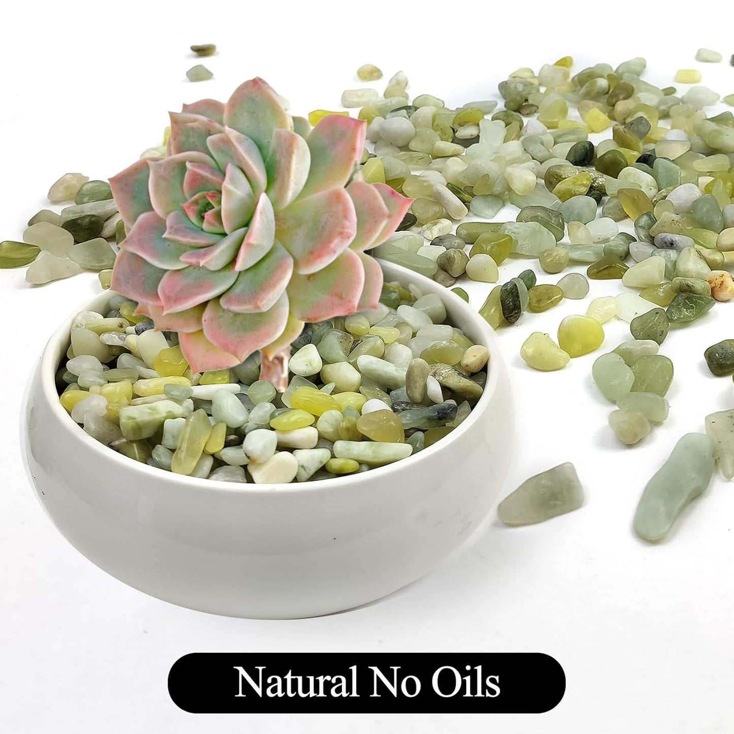 2LB Succulent Jade Pebbles for Indoor Plants, 3/8 Inch Natural Decorative Polished Stones, River Rocks for Landscaping,Vase, Flowerpot Decoration, Indoor Decoration and Garden Decoration