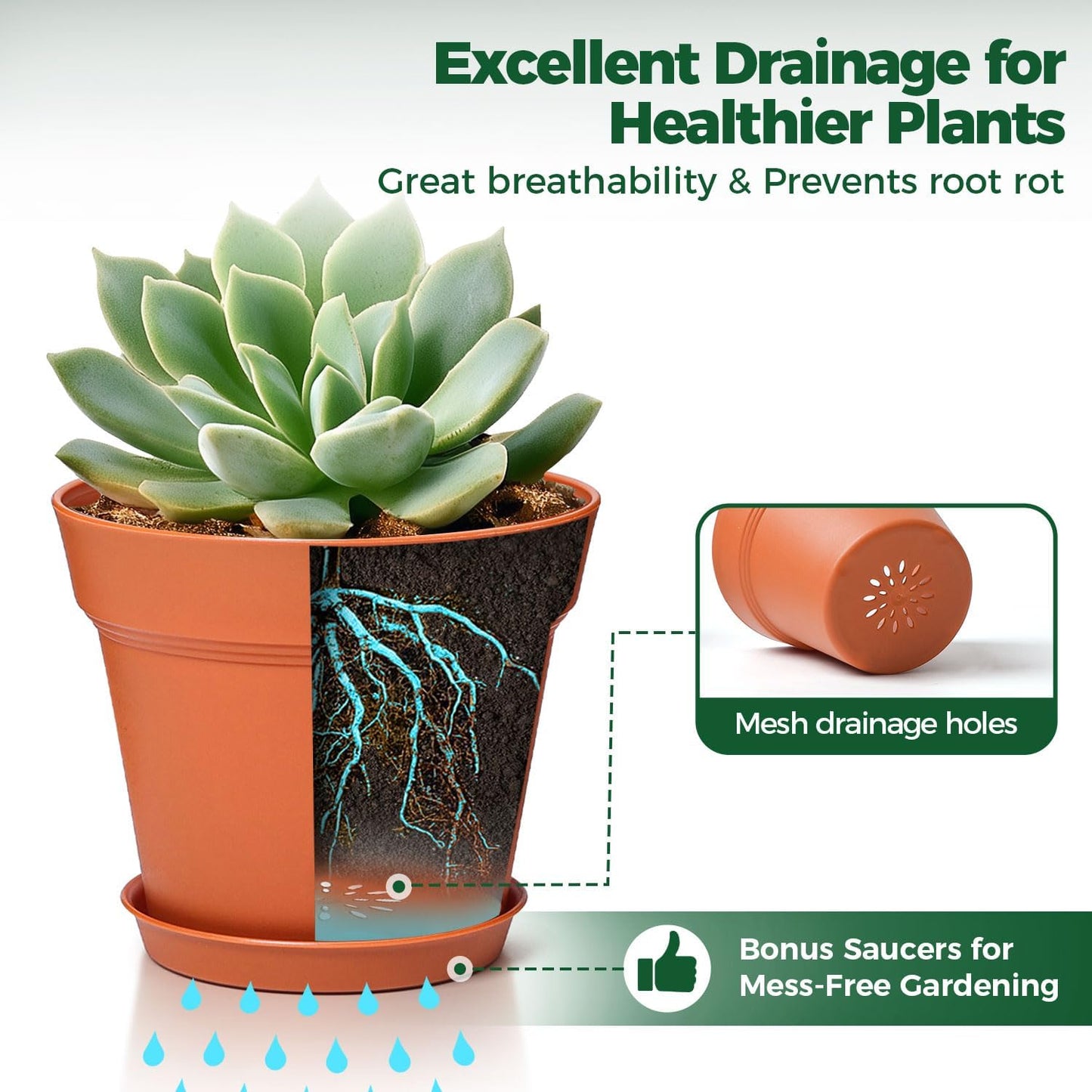 T4U 6 Inch Plant Pot 8-Pack, Plastic Planter with Drainage Hole and Saucer, Decorative Nursery Pots Bulk for African Violet, Snake Plant, Succulent, Herb and Plants Indoor (8 Pcs 6" Pots)