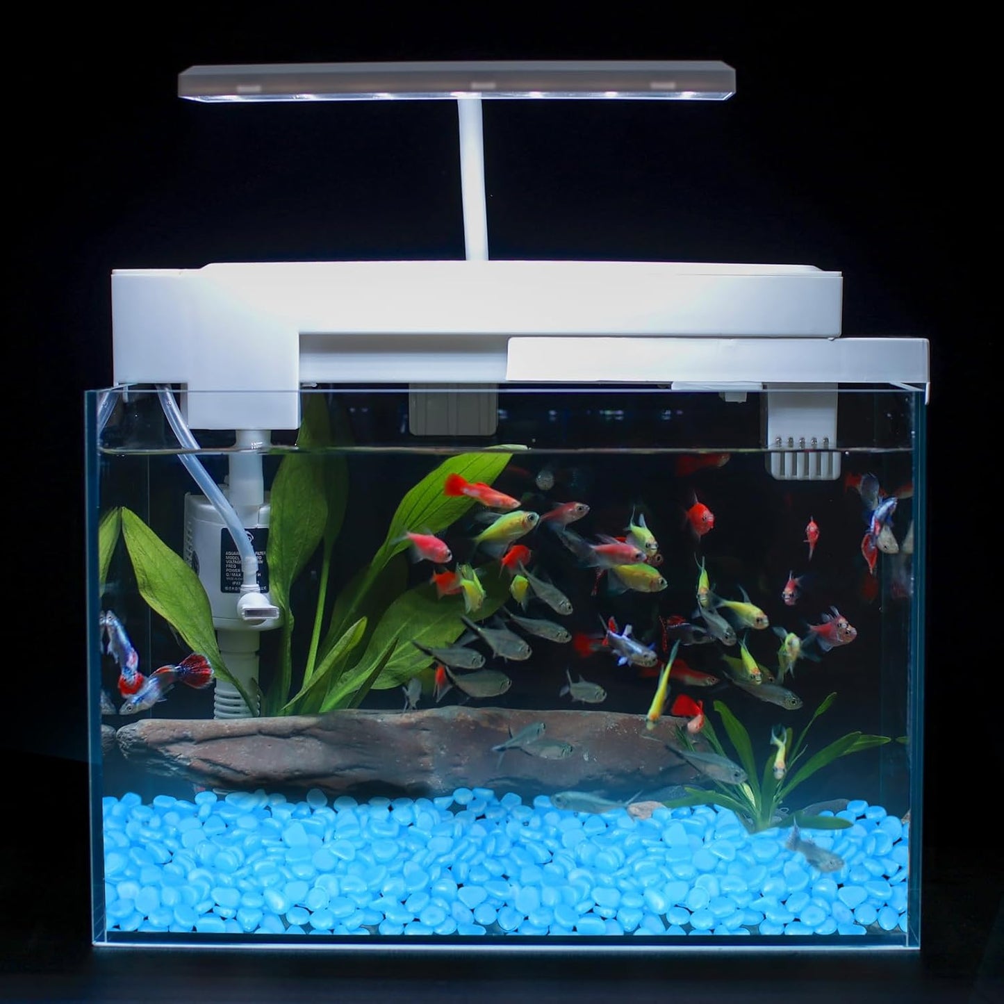 Oubest Glow in The Dark Rocks for Outdoor Landscaping Garden Stones, 0.8 Inch White Glow Pebbles Luminous Stones Decorative Rocks for Vases Pathway Walkway Yard Patio Fountain Driveway, 150PCS, White