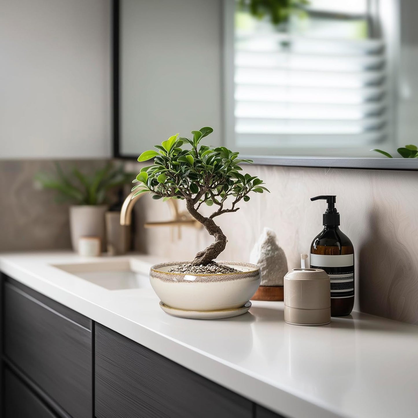 SQOWL Small Bonsai Pots - 6 Inch Ceramic Plant Pots for Succulents, Shallow Planter with Drainage Hole and Saucer, Round Planters for Indoor Outdoor Cactus Plants, House Decor, Birthday Gifts, Beige