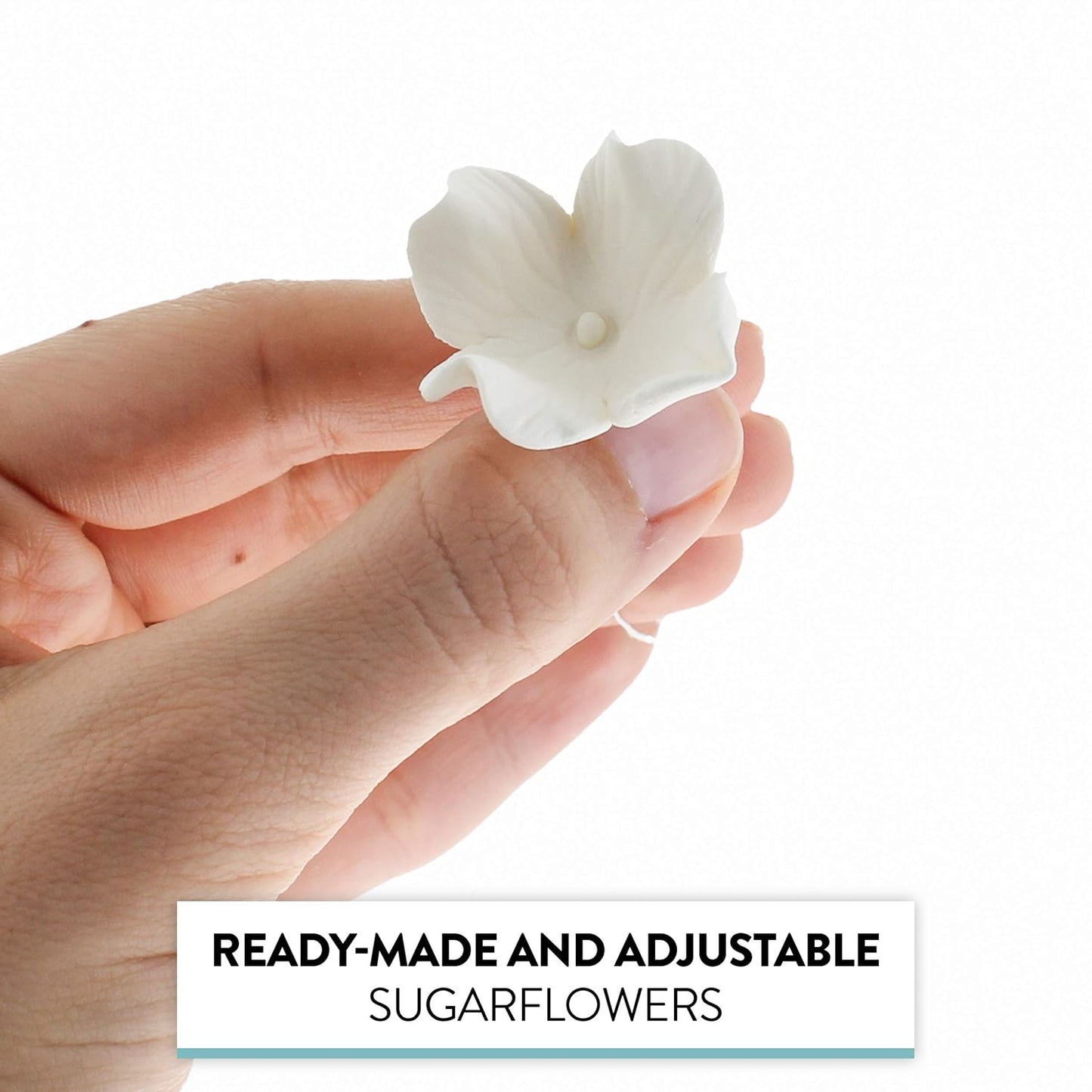 Global Sugar Art Hydrangea Blossom Edible Sugar Cake Flowers, White Unwired, 36 Count by Chef Alan Tetreault