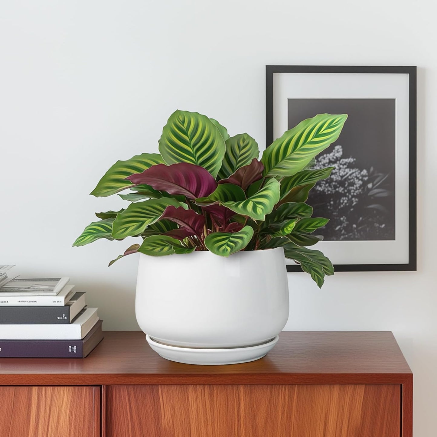 G EPGardening Ceramic Pots for Plants - 6 Inch Planter for Indoor Plants, Flower Pots with Drainage and Ceramic Tray, Modern Office Decor, Gifts for Plant Lovers, White