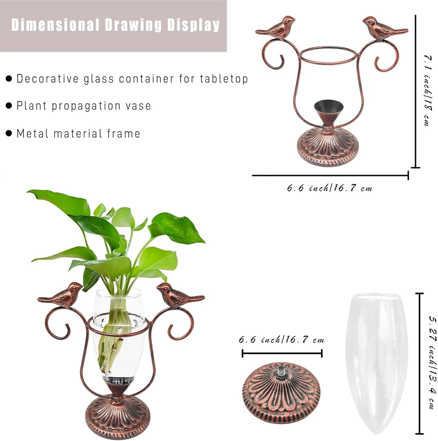 2 Pack Desktop Plant Terrarium,Bird Art Glass Propagation Vase, Propagation Planters with Vintage Metal Frame, Suitable for Decoration of Desktop Hydroponic Plants in Office and Living Room