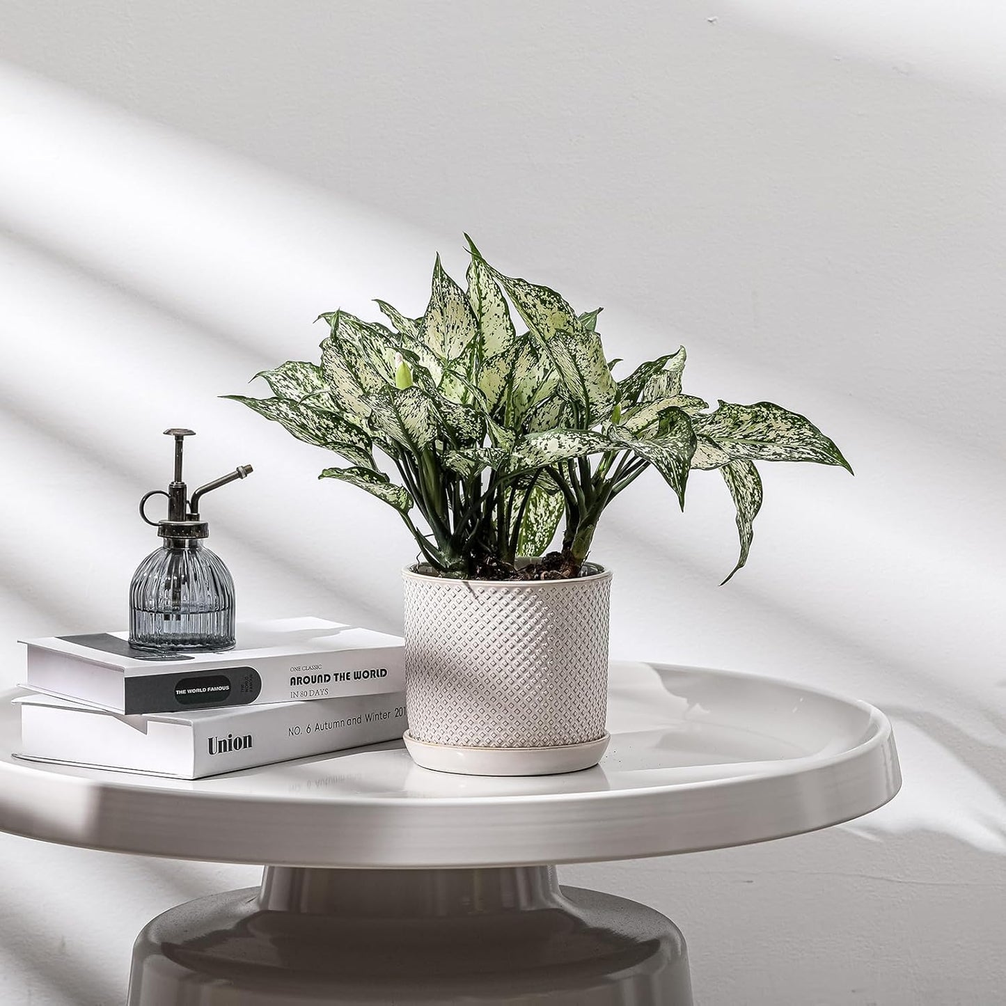 5.8 Inch Plant Pot: Ceramic Planter with Drainage Hole & Saucer for Indoor Outdoor Plants - Flowerpot with Bonded Tray for Home Office - Beaded Embossed Style, Cream White