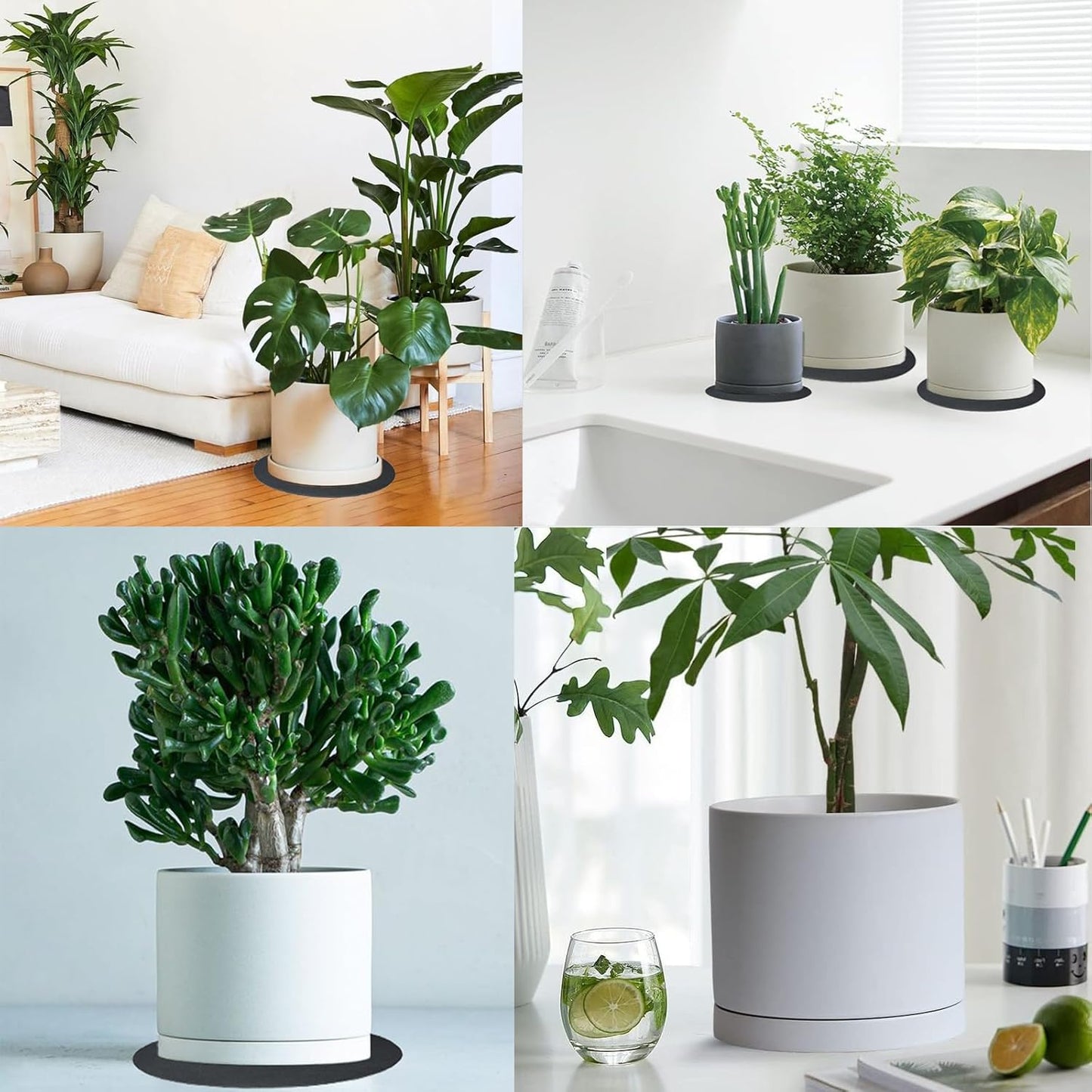 2 Pack Ceramic Plant Saucer Pot Tray 8 Inch, Planter Saucers 4 5 6 7 8 9 10 11 12 Inch for Indoors Outdoor, Durable Sturdy Flower Drainage Tray for Glazed Pots Base (8.5 Inch White)