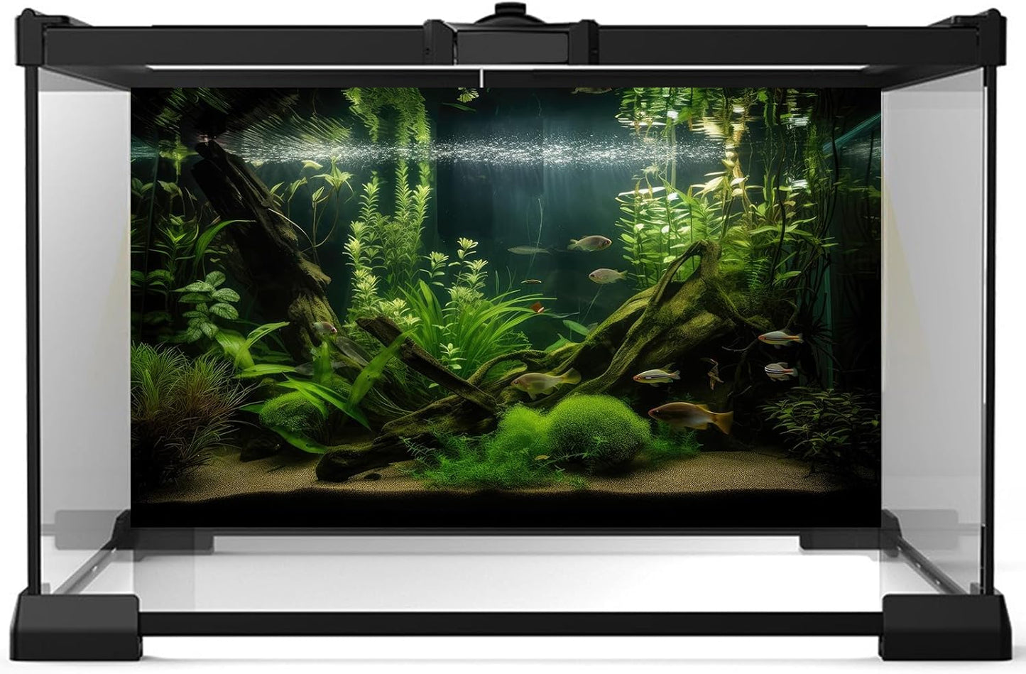 Aquarium Background Diverse Aquatic Plants and Seagrasses Terrarium Background Redwood Root Lush Green Underwater Plants Moss Fish Tank Background Under The Sea Aquarium Backdrop Vinyl 24x12in