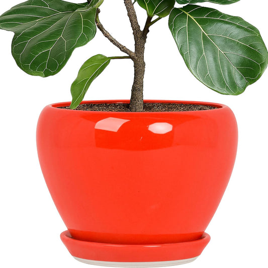 Deep Dream 10 Inch Plant Pot- Ceramic Planter Pot Round Plant Pots for Indoor Plants Outdoor Large Flower Pot with Drainage Holes & Trays, Red