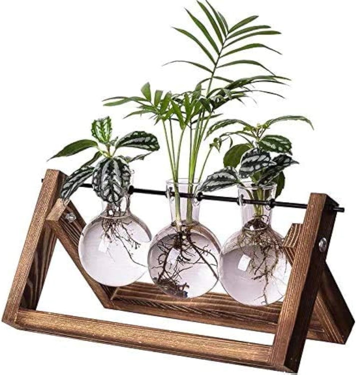 Kingbuy Plant Terrarium Propagation Station - 3 Glass Bulb Vases with Retro Wooden Stand Boho Desktop Planter for Hydroponics Home Garden Indoor Home Office Decor Unique Gifts for Women & Plant Lovers