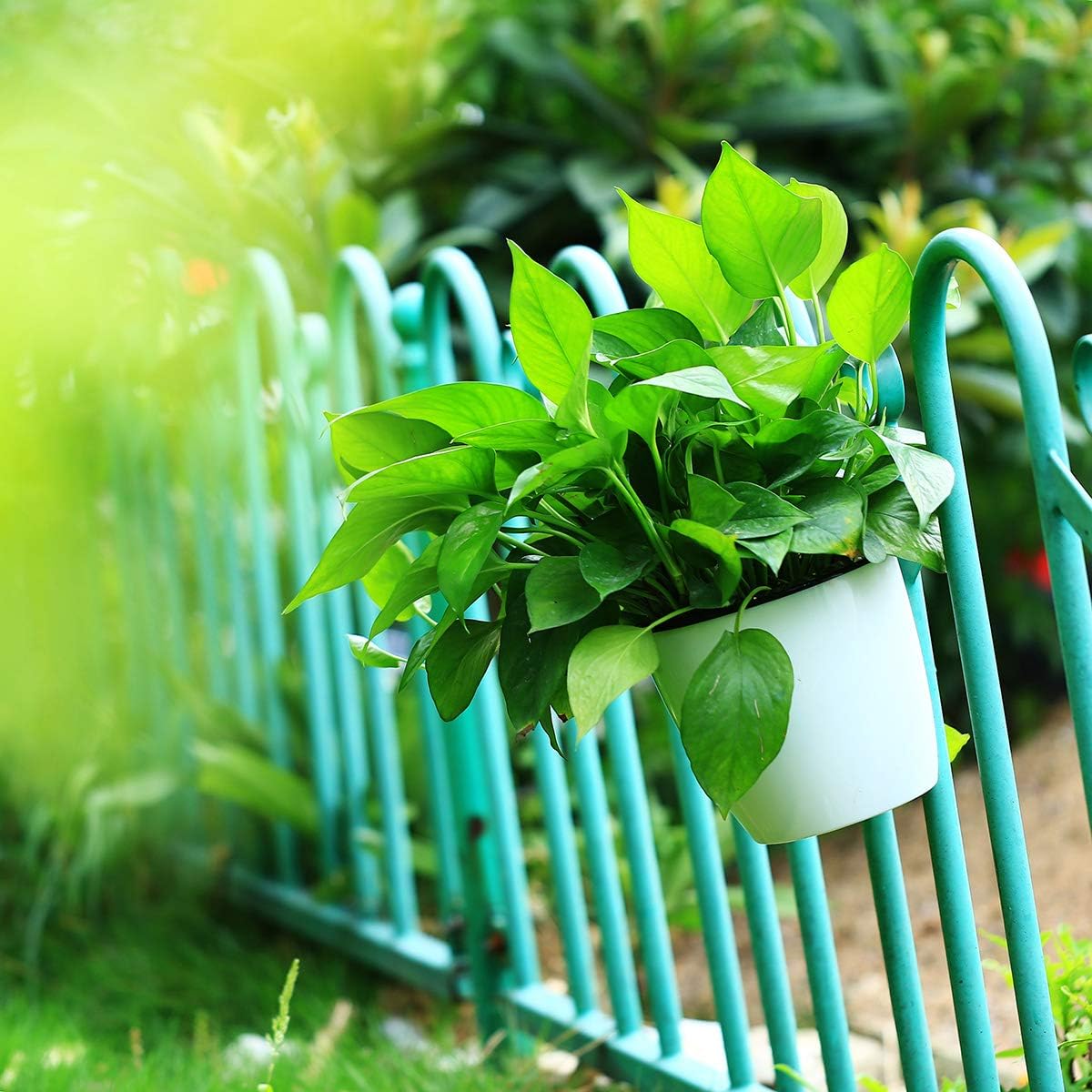 8 Packs 5" and 7.3" Plastic Self Watering Pots Wall Hanging Planters Wall Mounted Wicking Flower Pots for Indoor and Outdoor African Violet, Ocean Spider Plant, Orchid, White