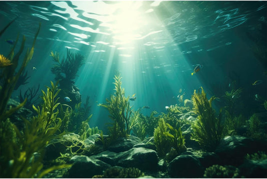 Ocean Aquarium Background Aquatic Plants with Rocks Terrarium Backdrop Sunlight Rays Deep Sea Fish Tank Background Aquarium Wallpaper Poster Decor Vinyl 48x24in