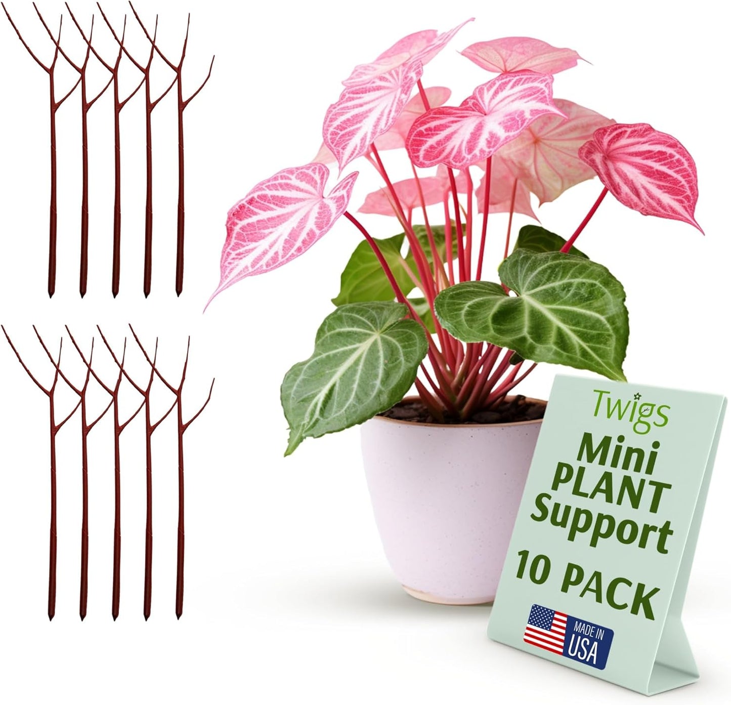 Twigs - Plant Support Stakes for Indoor, Outdoor & Climbing Plants, Gardening Supplies, Garden Accessories, Trellis & Ring Alternative, Made in USA - Begonia (Red), 10 Pack, 12" L, Mini Twigs