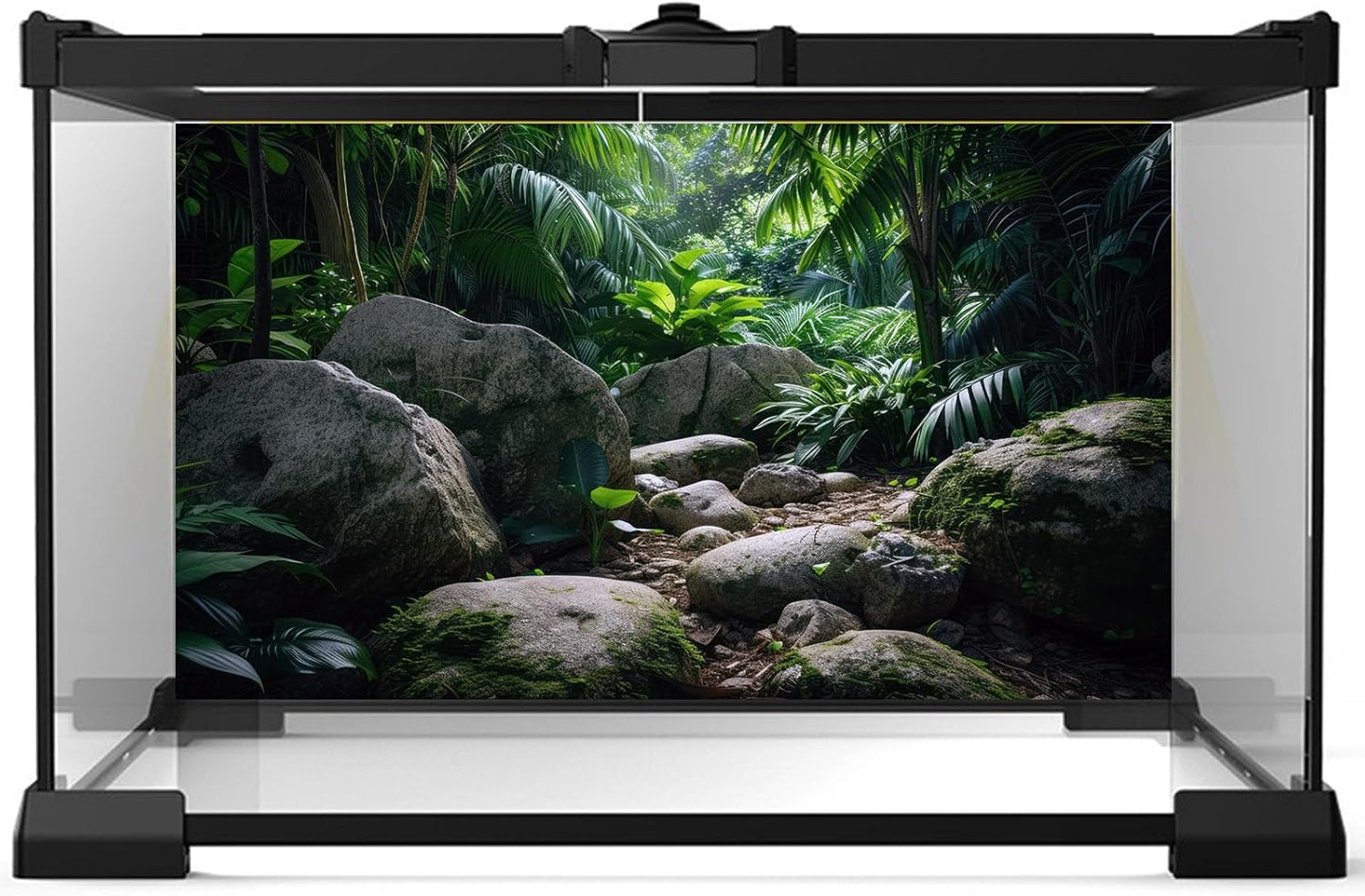 Reptile Habitat Backdrop Lush Tropical Plants and Rocks Terrarium Backdrop Dense Vegetation with Large Broad Leaves and Ferns Fish Tank Background Aquarium Wallpaper Poster Decor Vinyl 30x18in