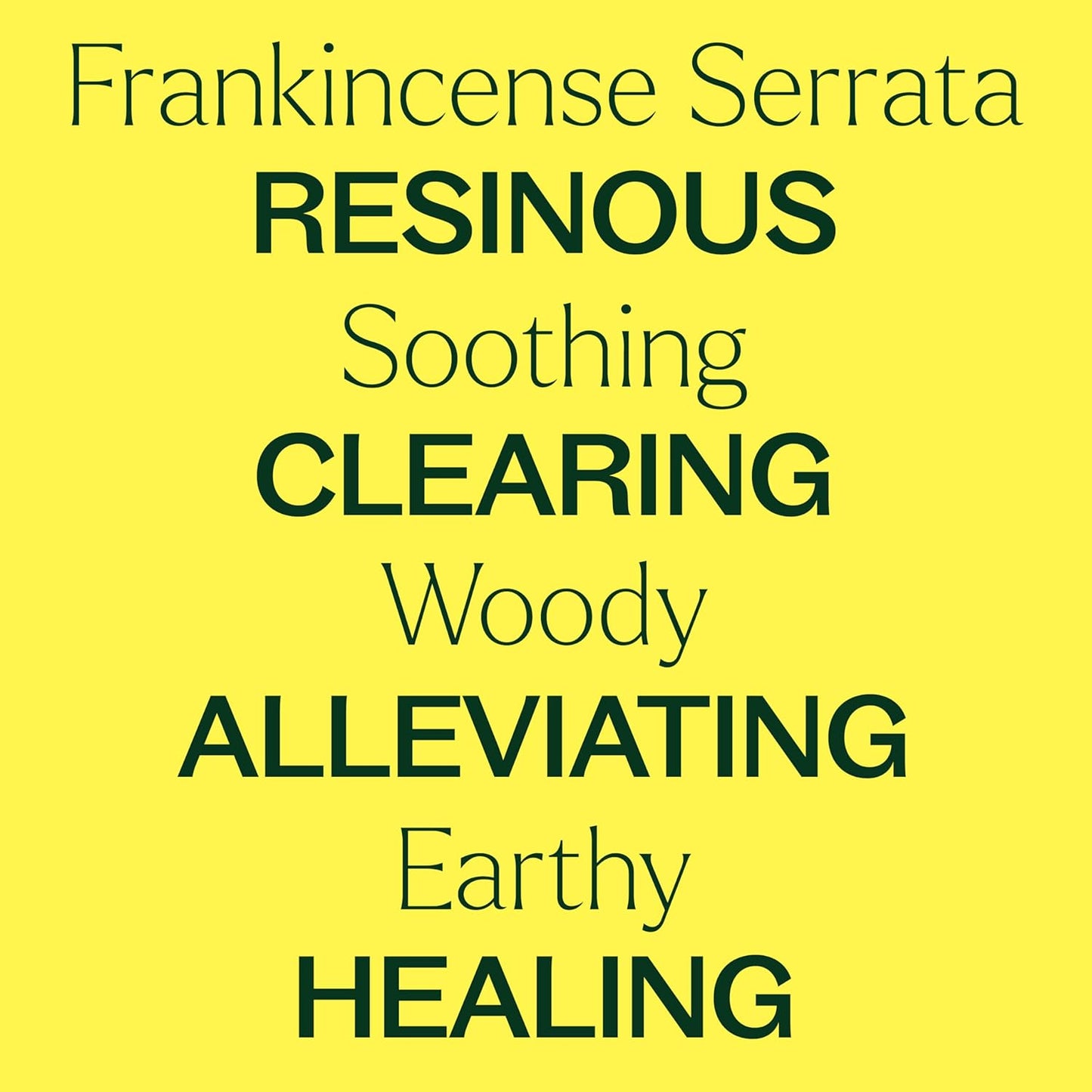 Plant Therapy Organic Frankincense Serrata Essential Oil 100% Pure, USDA Certified Organic, Undiluted, Natural Aromatherapy, Therapeutic Grade 10 mL (1/3 oz)