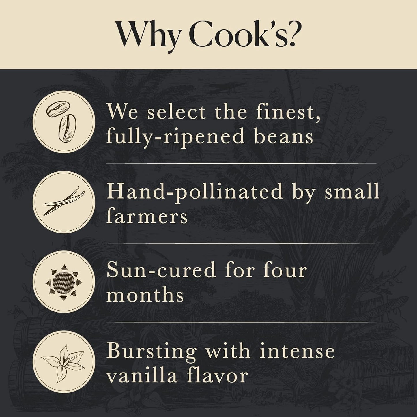 25 Organic Madagascar Whole Vanilla Beans, Grade A Pods, Premium Vanilla Beans for Making Extract & Baking - Cook’s